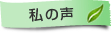参加社員より