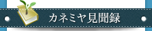 カネミヤ見聞録