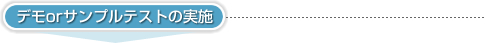 3.デモorサンプルテストの実施