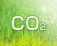 焼却処分では大量のCO2が発生しています